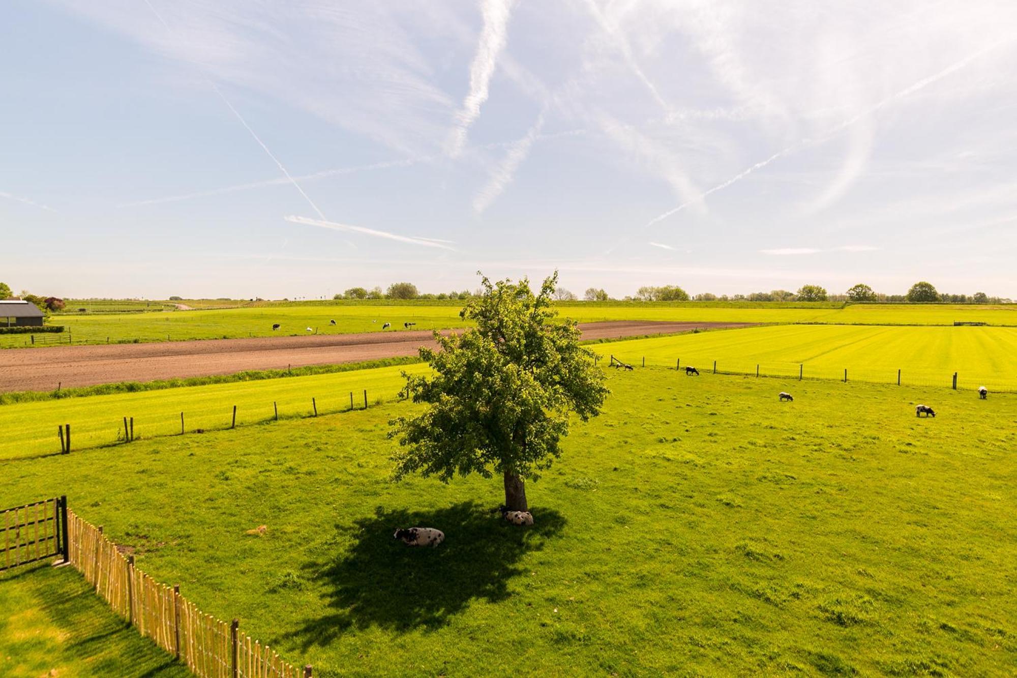 Boerderij De Zalm Bed & Breakfast Schalkwijk Ngoại thất bức ảnh